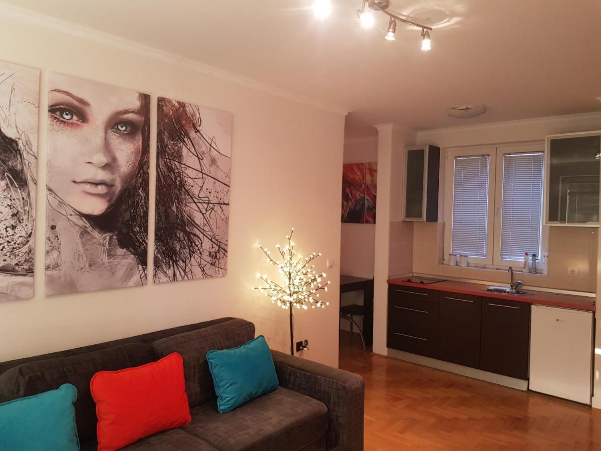 Rajiceva 5- Apartman Sa Prostranom Terasom I Garaznim Mestom كراغوييفاك المظهر الخارجي الصورة